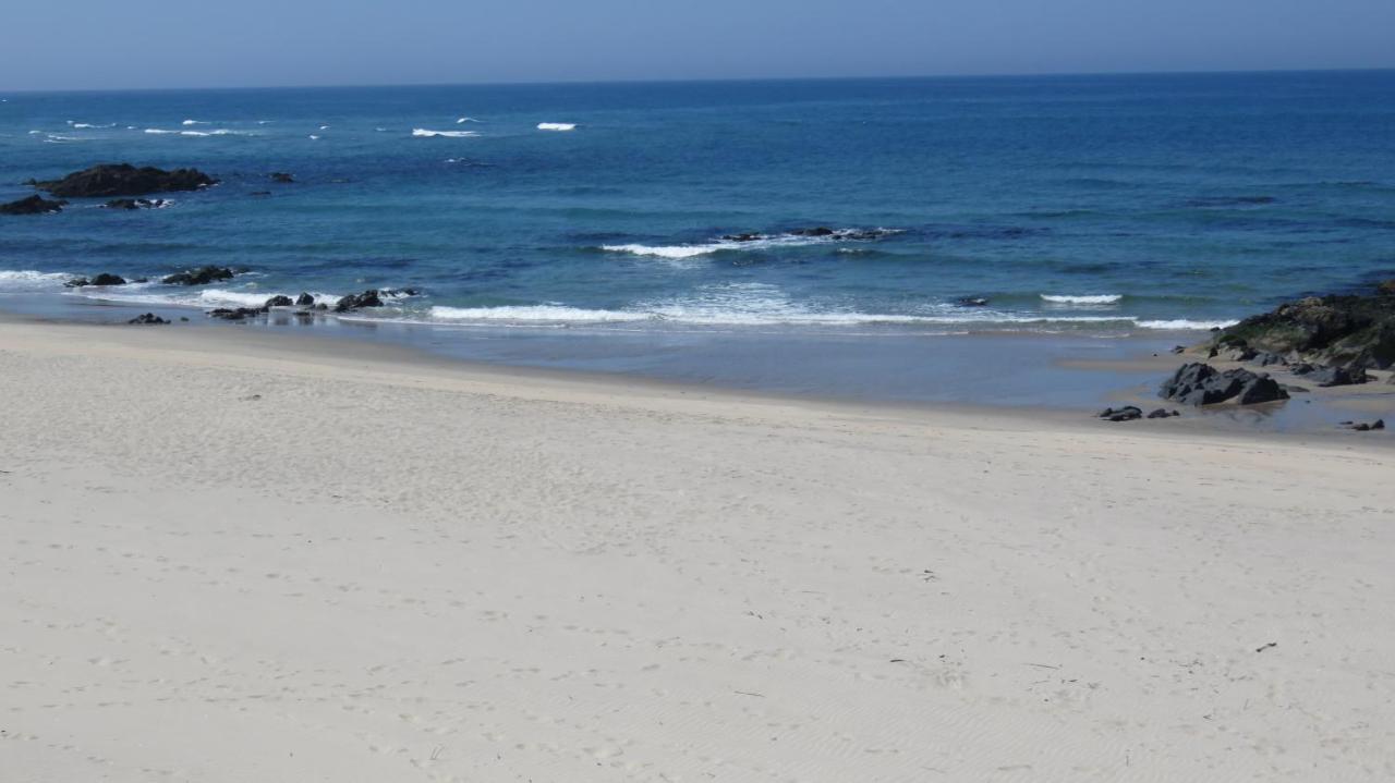 Afife & Insua Beach Apartment Viana do Castelo Eksteriør billede